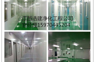 江西南昌食品醫(yī)藥gmp凈化無塵車間工程公司